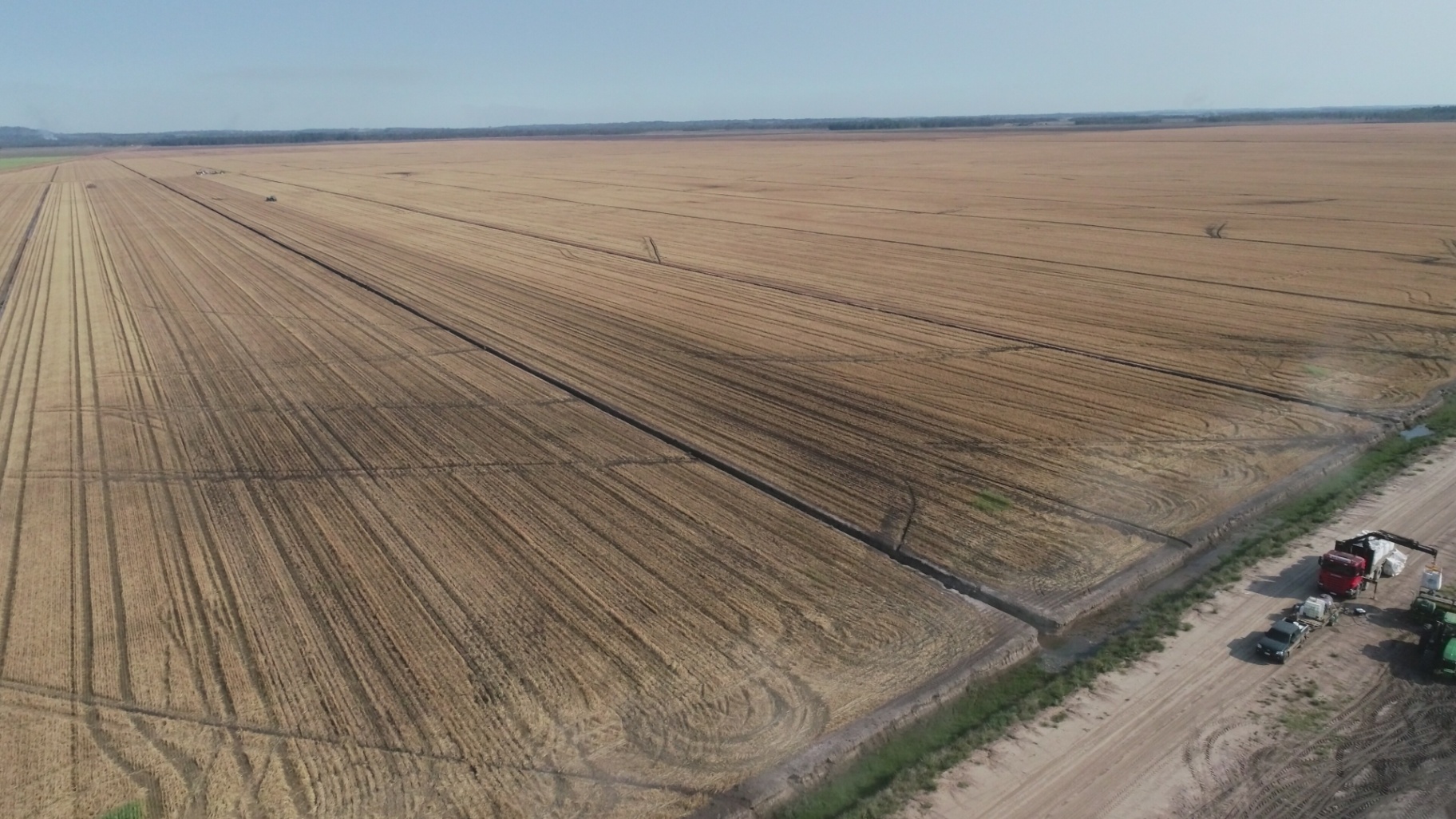 Trabajo de campo 19