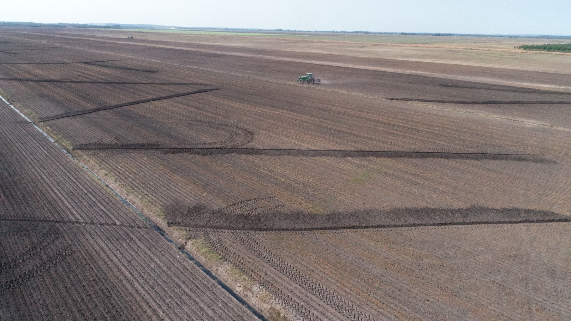 Trabajo de campo 16