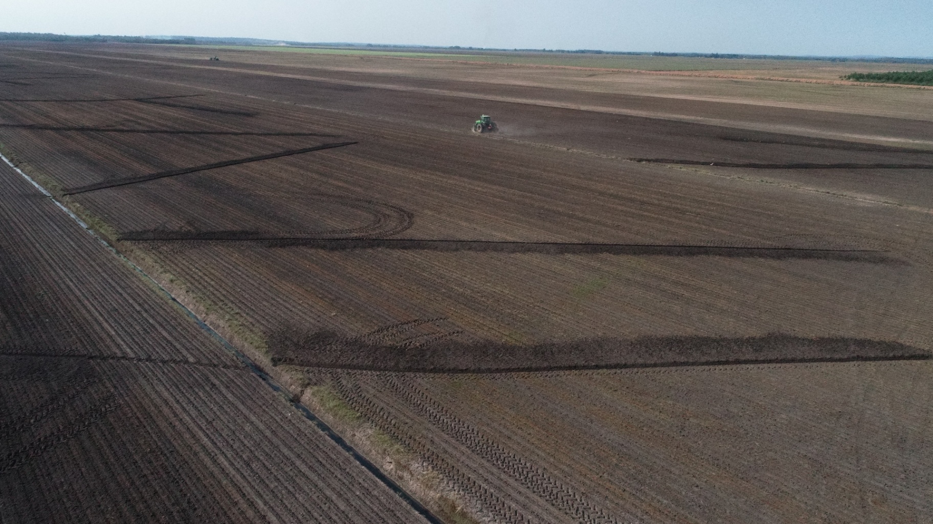 Trabajo de campo 17